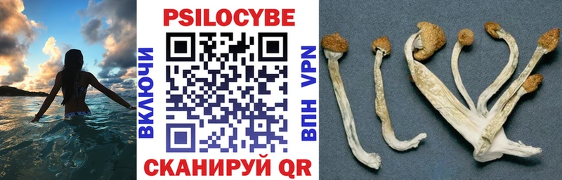 Галлюциногенные грибы прущие грибы  MEGA ссылка  Шуя  цена  